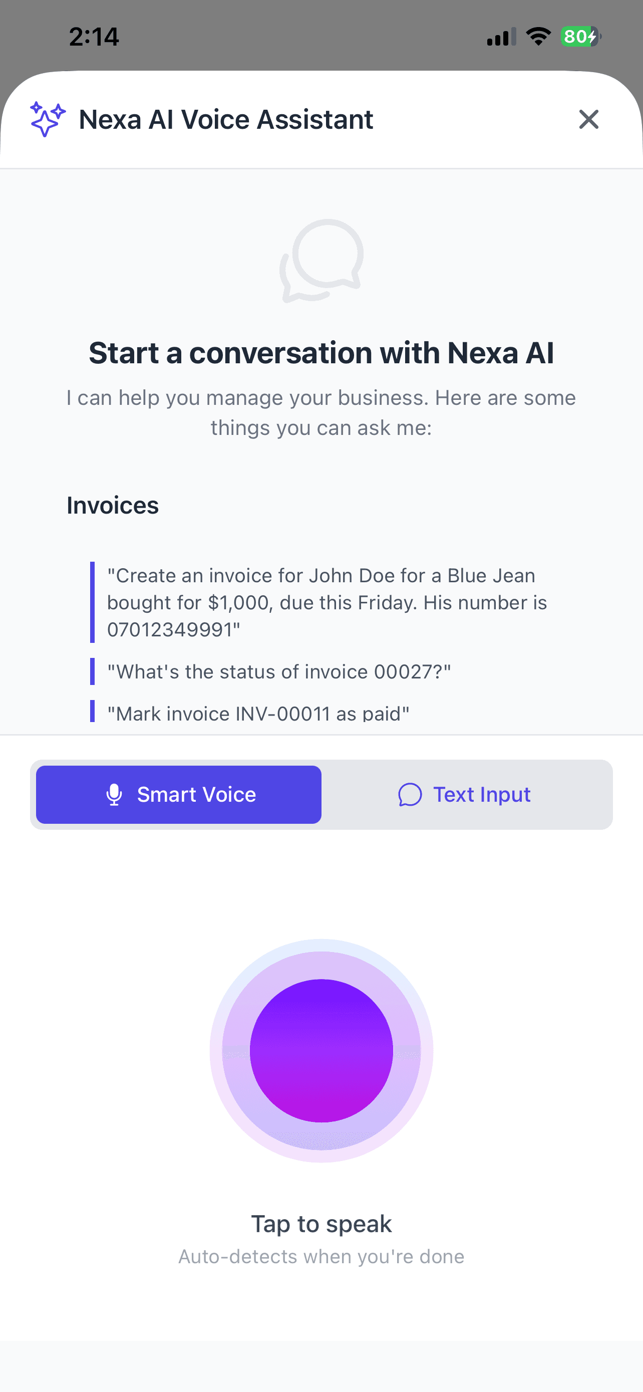 Nexa AI assistant for managing business taxes
