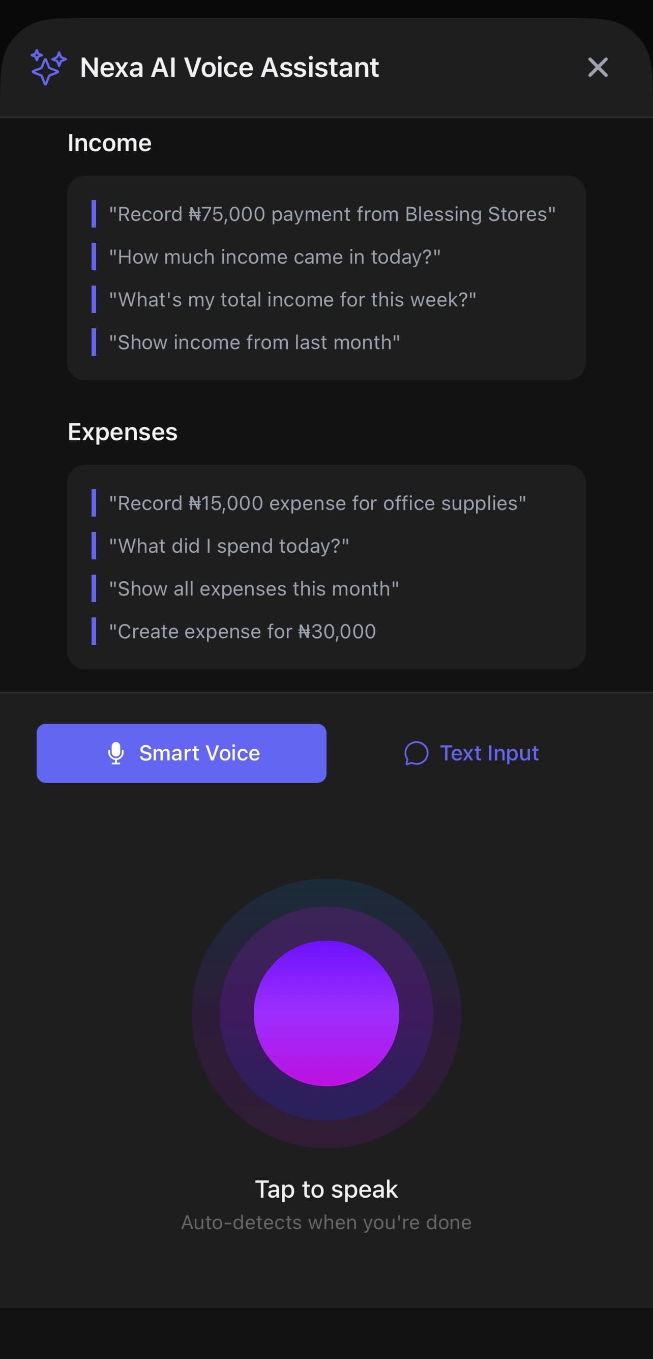 Nexa AI assistant for recording business transactions